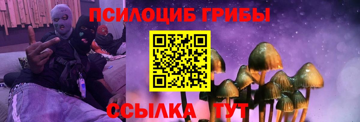 Псилоцибиновые грибы Cubensis Волжский